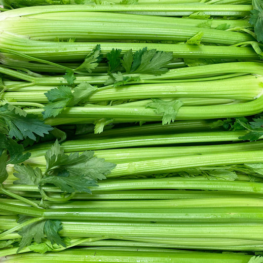 Benefits of Celery Juice